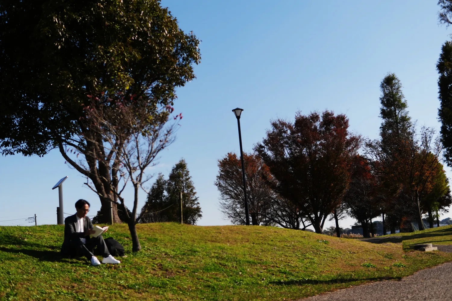 秋の日差しが差し込む公園の芝生で、本を読むスーツ姿の男性