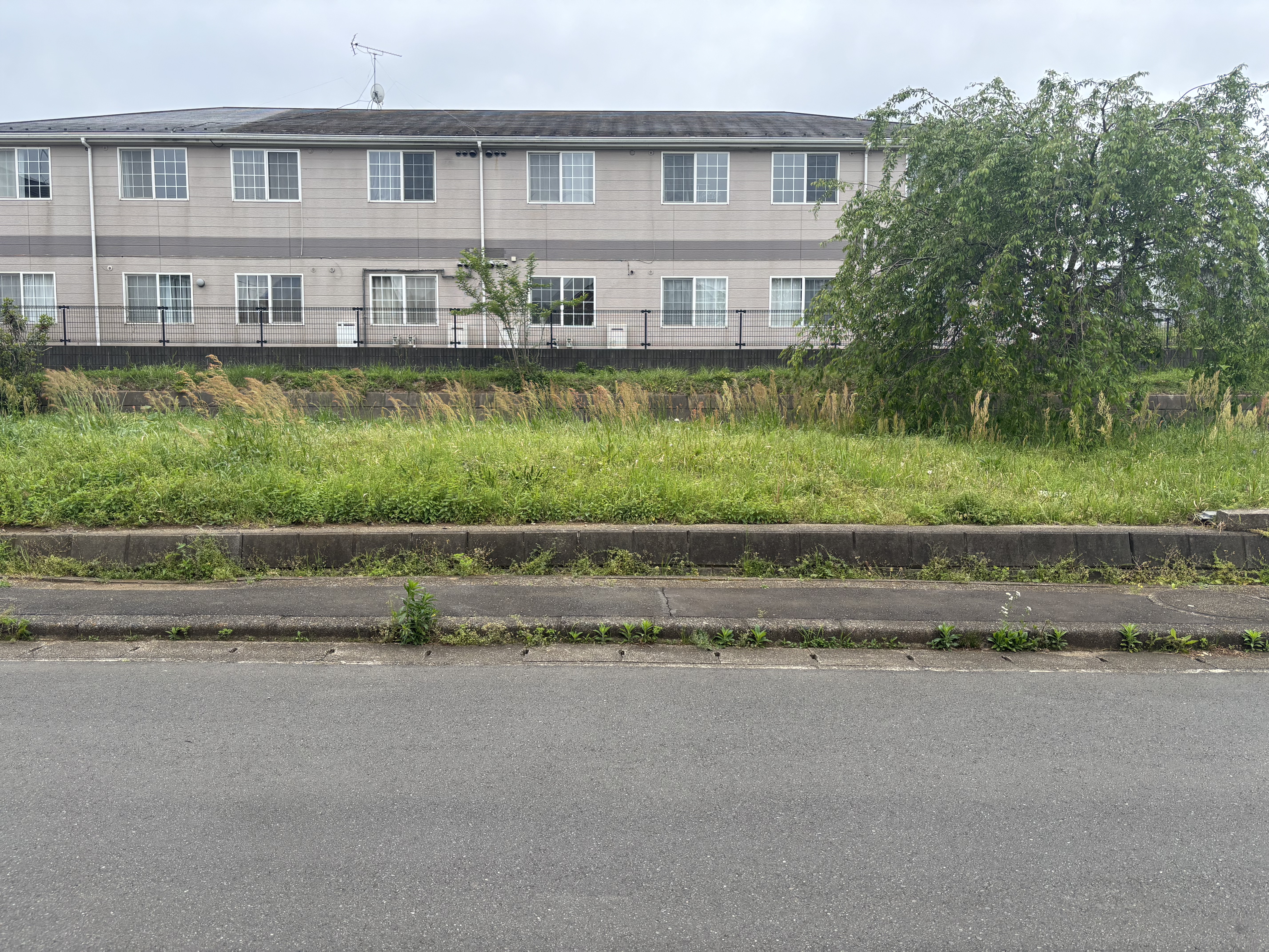 手付かずだった空き地